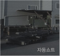 자동쇼트